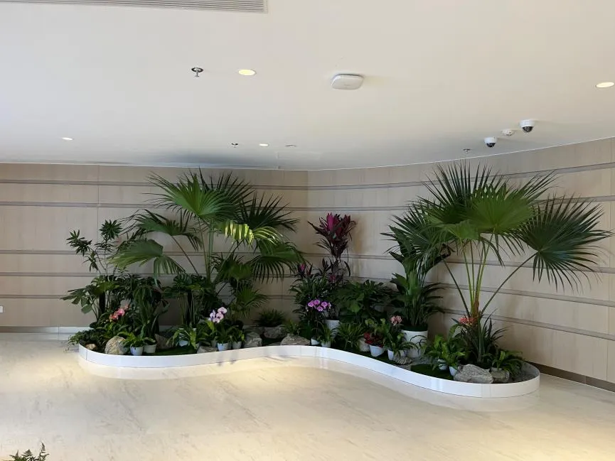 探寻宁波前湾花卉出租优质之选，你知道是哪家？